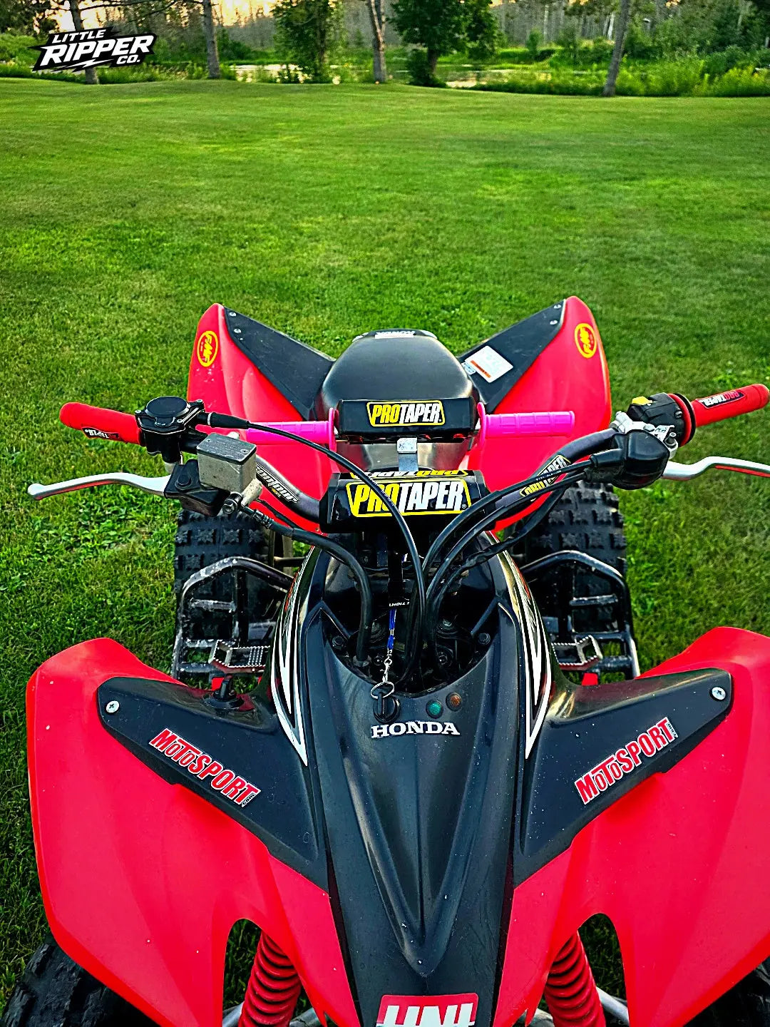 Baby Bars for ATVs—Heavy-Duty Aluminum My Store